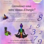 Atelier: Connaissez vous votre niveau d'énergie 140226