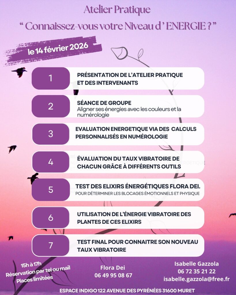 Prgramme de l' Atelier: Connaissez vous votre niveau d'énergie 140226